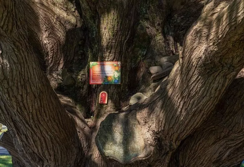 Fotos del hotel The Dunloe  & Gardens:  16