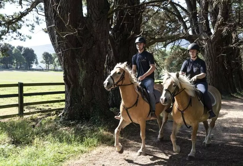 Fotos del hotel The Dunloe  & Gardens:  9