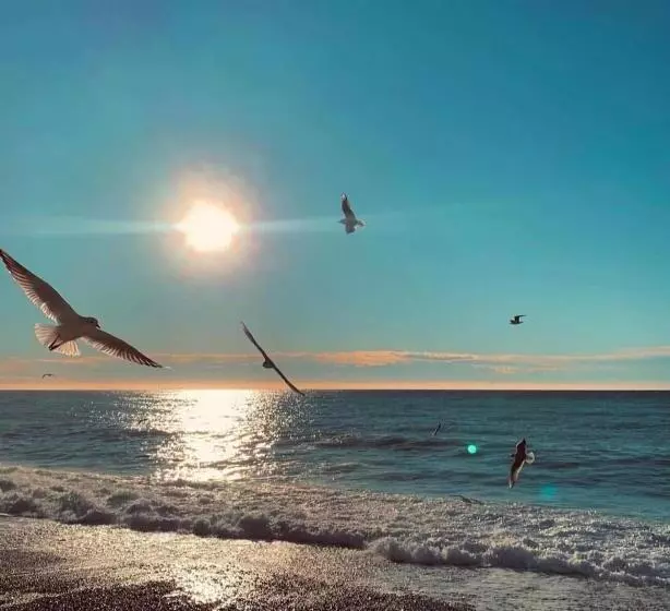 Fotos del hotel Le Riviera Collection, Signature Collection By Best Western:  19