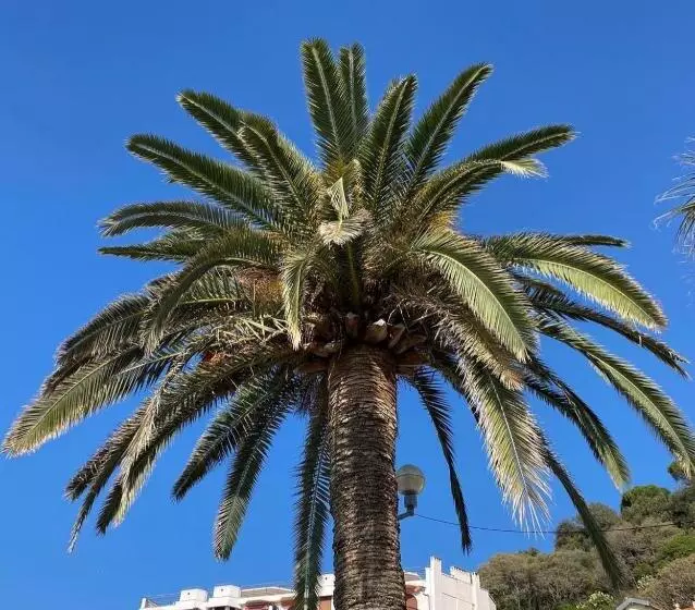 Fotos del hotel Le Riviera Collection, Signature Collection By Best Western:  24