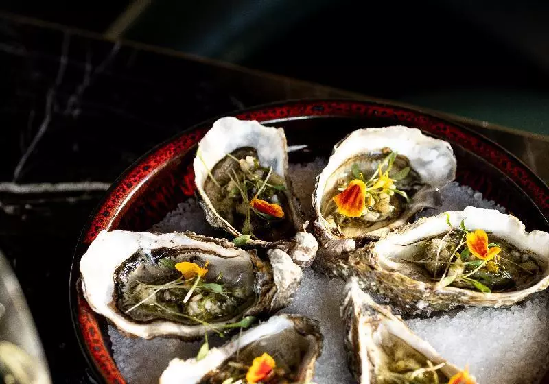 Fotos del hotel Terrass:  19