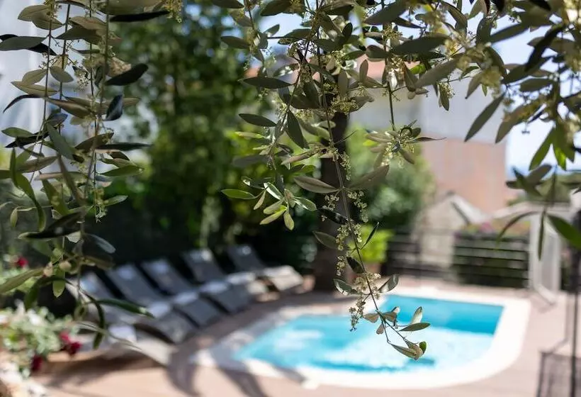 Fotos del hotel Hôtel Du Petit Palais:  22