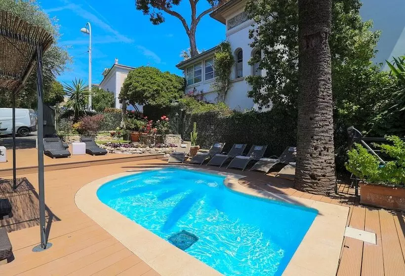 Fotos del hotel Hôtel Du Petit Palais:  2