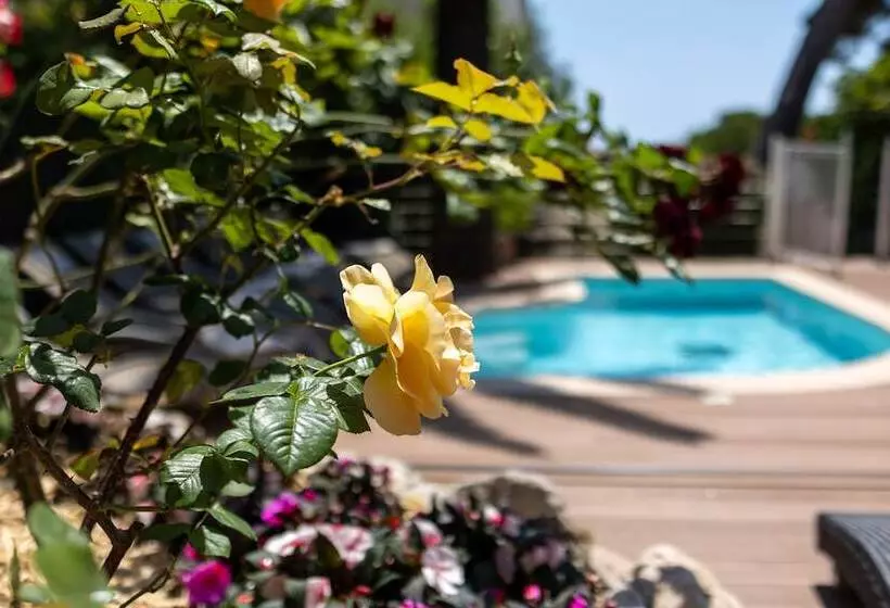 Fotos del hotel Hôtel Du Petit Palais:  7