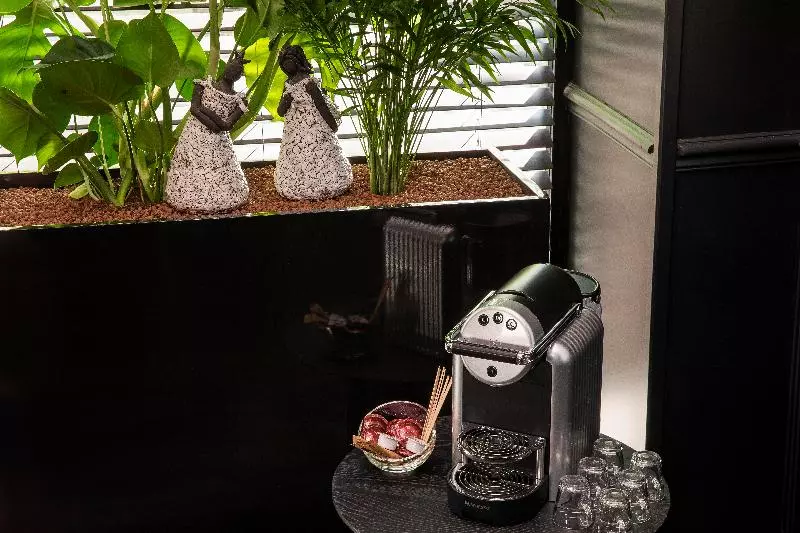 Fotos del hotel Hôtel Elysées Régencia:  25