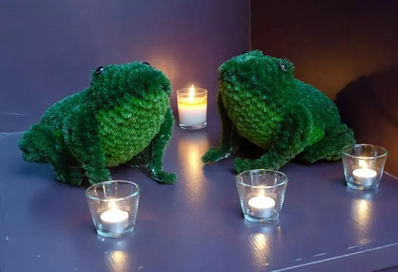 Fotos del hotel Hôtel Tivoli:  16