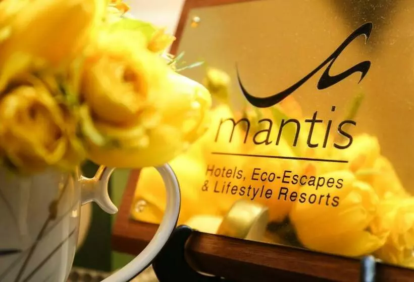 Fotos del hotel Draycott:  8