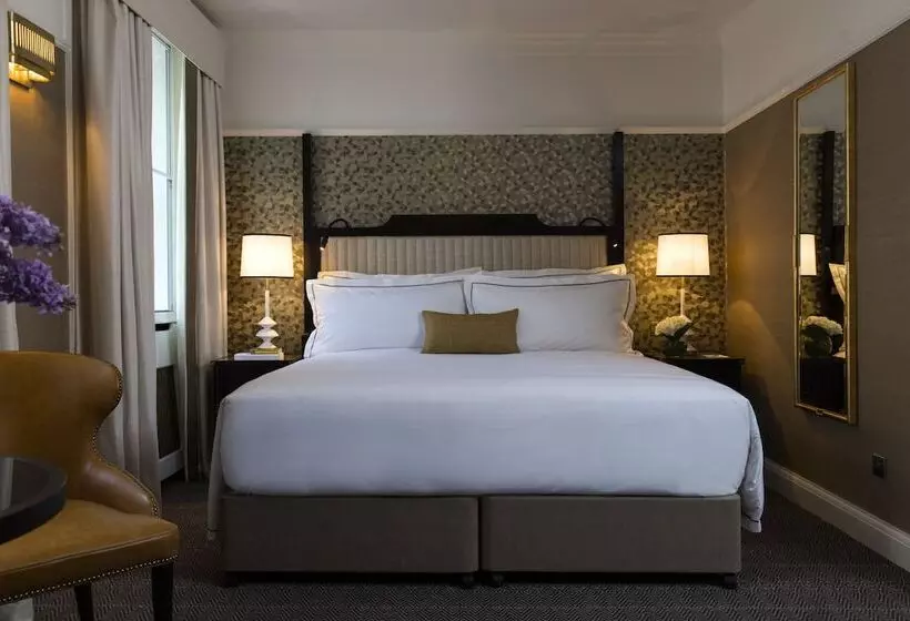 Fotos del hotel The Academy:  14