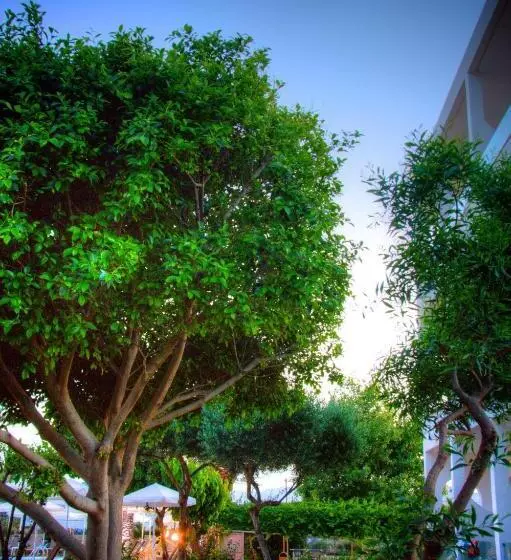 Fotos del hotel Solimar Dias:  24