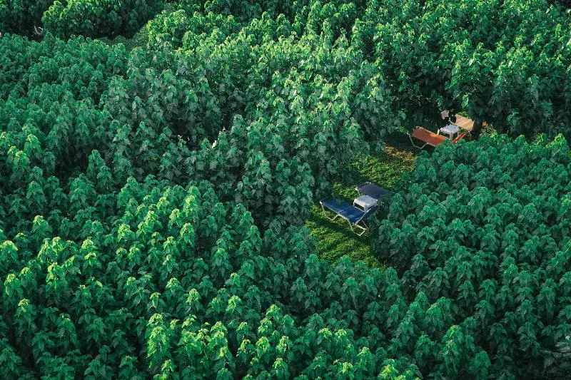 Fotos del hotel Tzaki Hotel & Restaurant Patras:  20