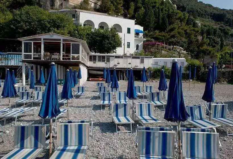 Fotos del hotel Aurora:  13