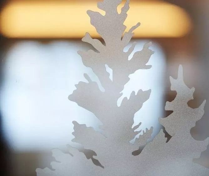 Fotos del hotel Europa:  16