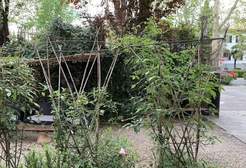 Fotos del hotel David:  5