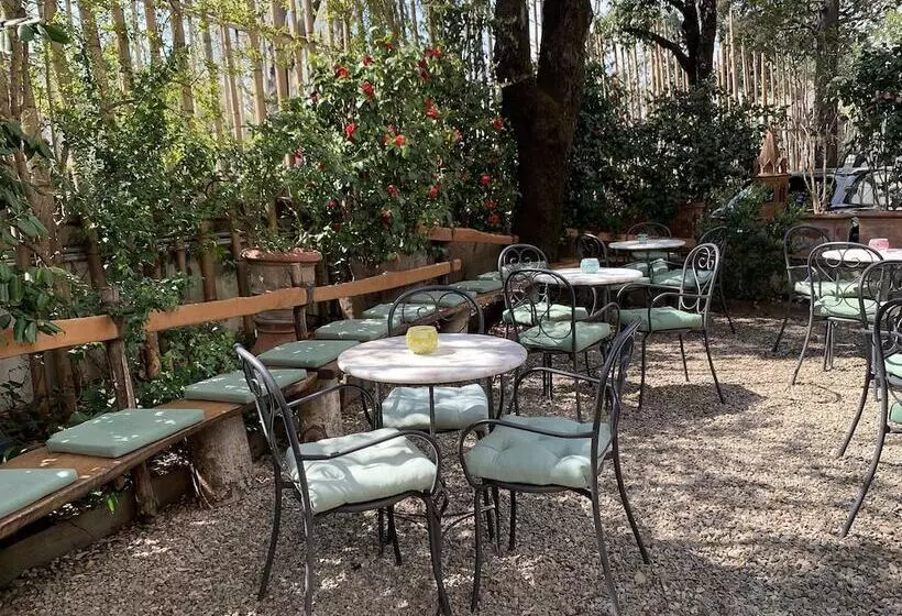 Fotos del hotel David:  13