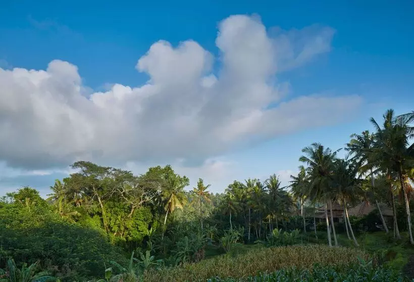 Fotos del hotel Amandari Ubud:  7