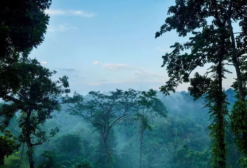 Fotos del hotel Amandari Ubud:  17