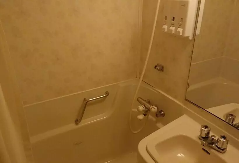 Fotos del hotel Bandai Silver:  12