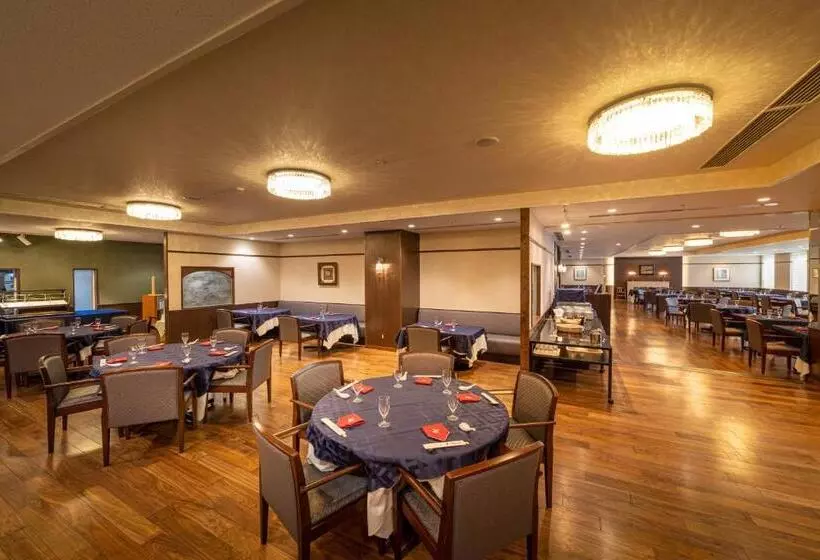 Fotos del hotel Hida Takayama Onsen Hida  Plaza:  4