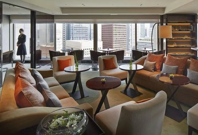 Fotos del hotel Palace  Tokyo:  3