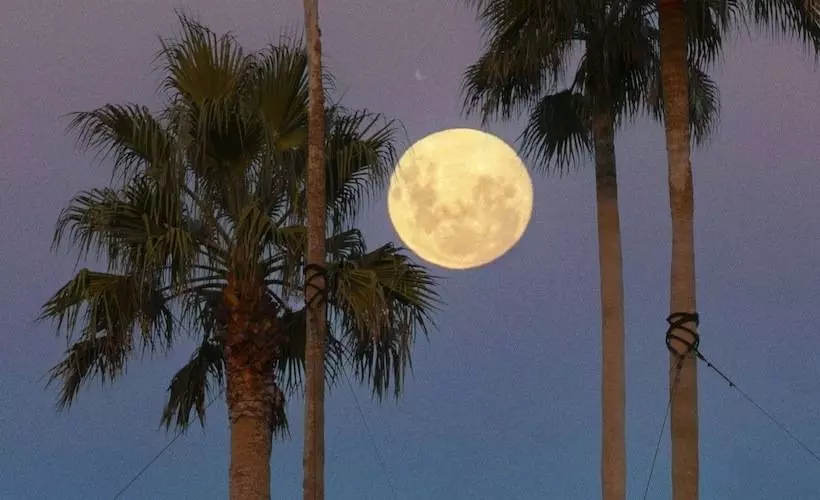 Fotos del hotel The Luigans Spa And Resort:  18