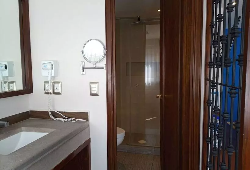 Fotos del hotel Alameda Centro Historico:  8