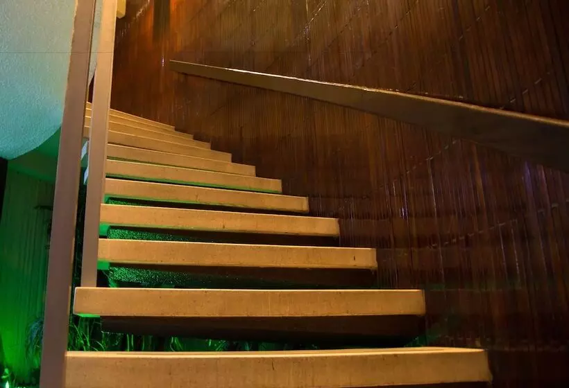 Fotos del hotel Ambassador Mérida:  4