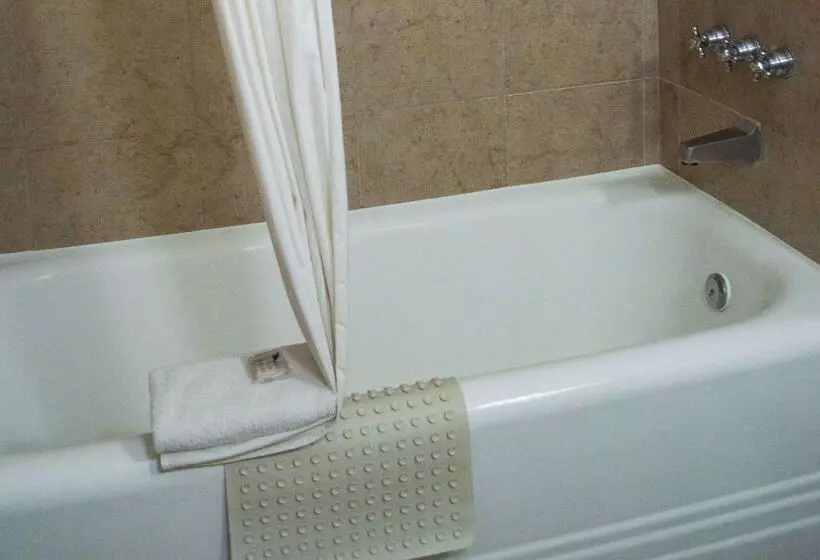 Fotos del hotel Best Western Majestic:  7