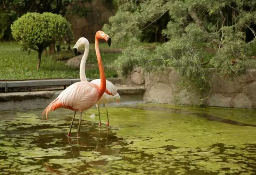 Fotos del hotel Las Mañanitas:  19