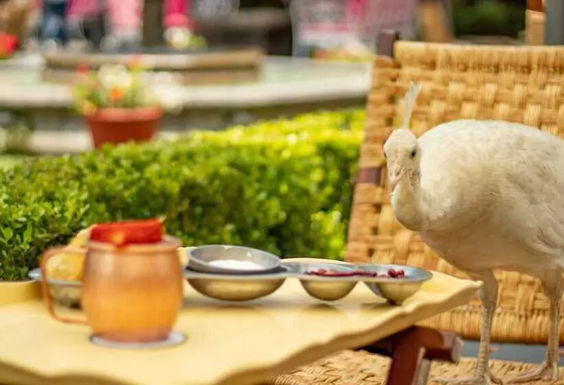 Fotos del hotel Las Mañanitas:  23