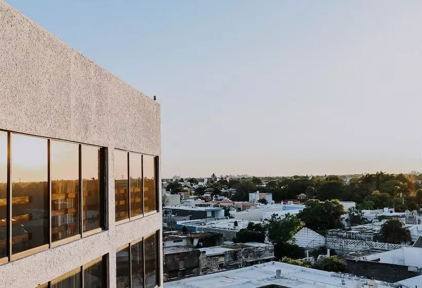 Fotos del hotel Los Aluxes:  13