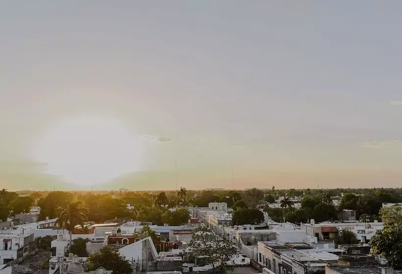 Fotos del hotel Los Aluxes:  6