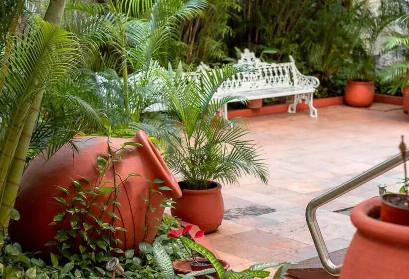 Fotos del hotel Los Aluxes:  7