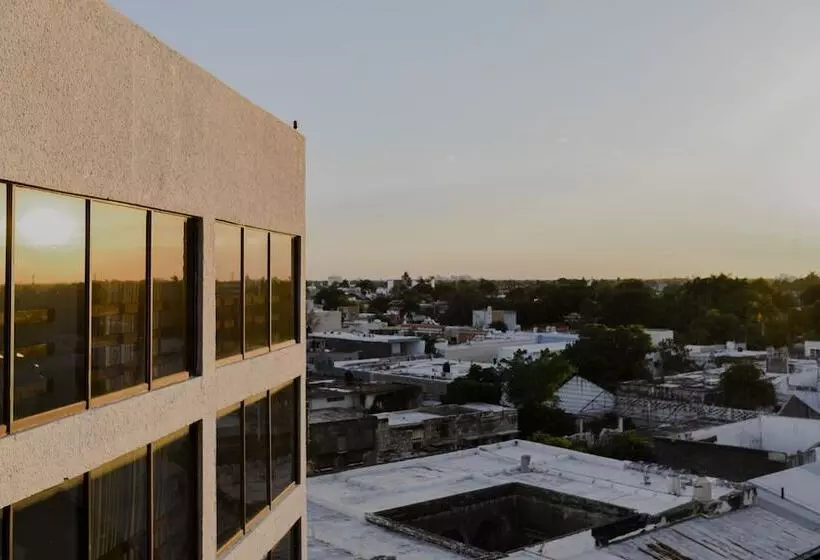 Fotos del hotel Los Aluxes:  11