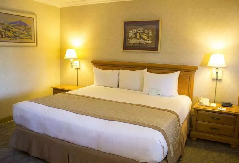 Fotos del hotel Lucerna Tijuana:  18