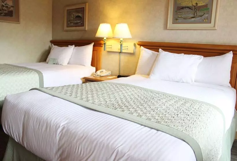 Fotos del hotel Lucerna Tijuana:  24