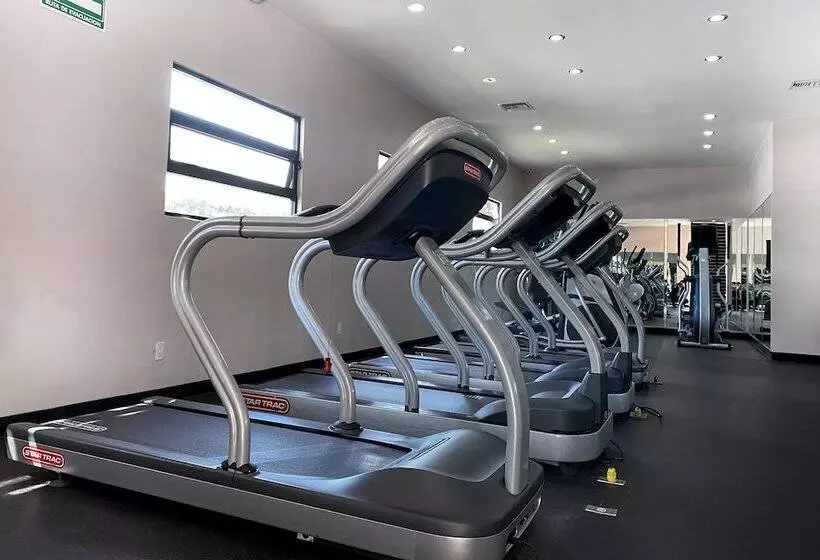 Fotos del hotel Lucerna Tijuana:  8