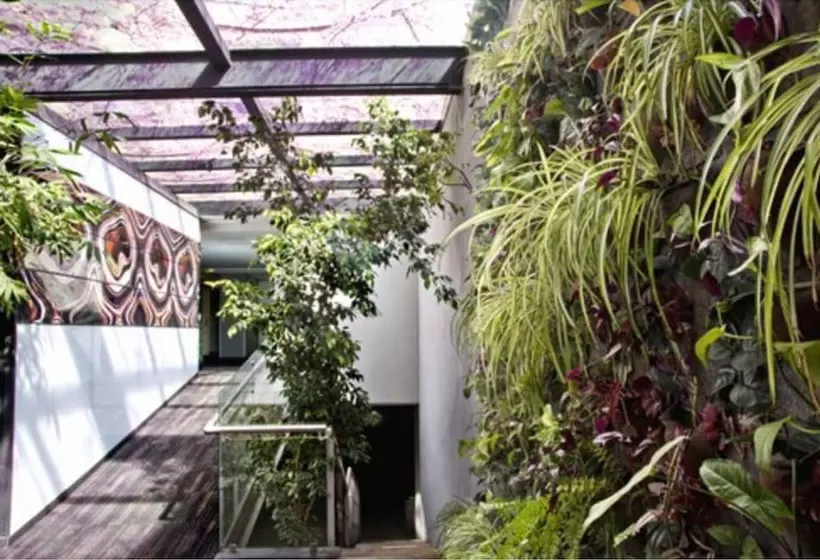 Fotos del hotel Regente:  14