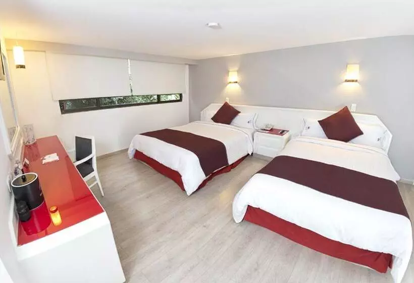 Fotos del hotel Regente:  11