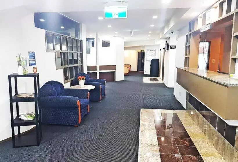 Fotos del hotel Airport Palms Hotel:  15