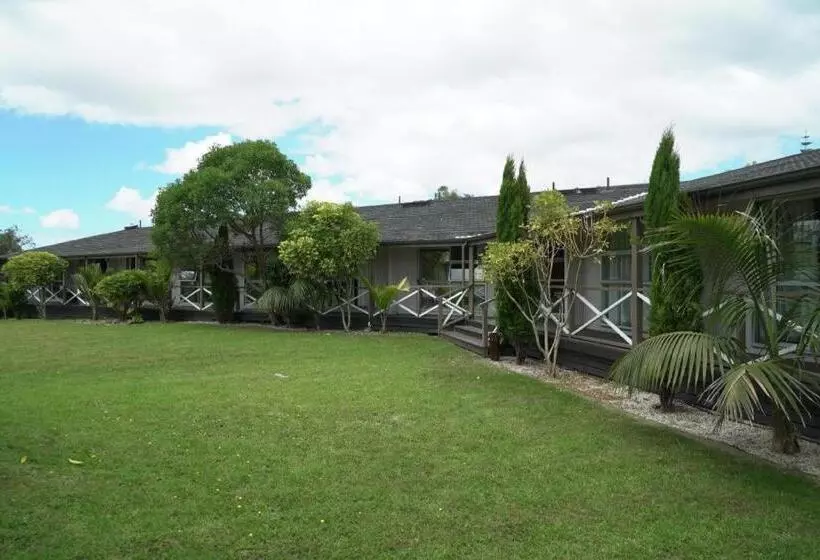 Fotos del hotel Airport Palms Hotel:  17