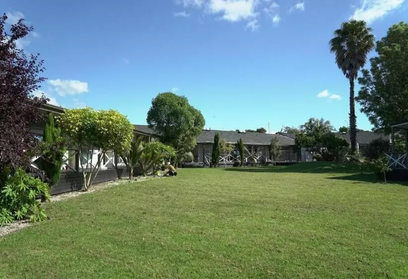 Fotos del hotel Airport Palms Hotel:  25