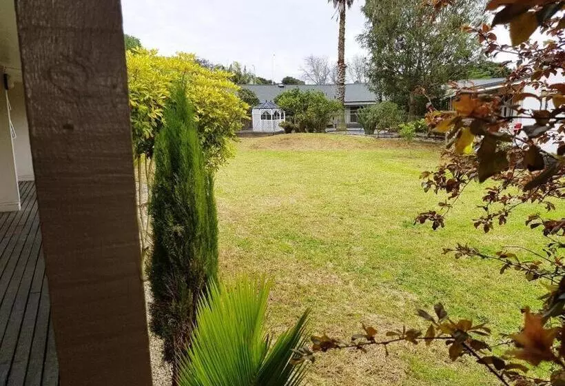 Fotos del hotel Airport Palms Hotel:  6