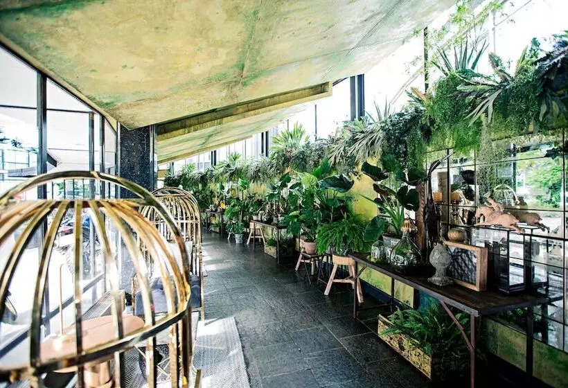 Fotos del hotel Apollo Hotel Amsterdam, A Tribute Portfolio:  22