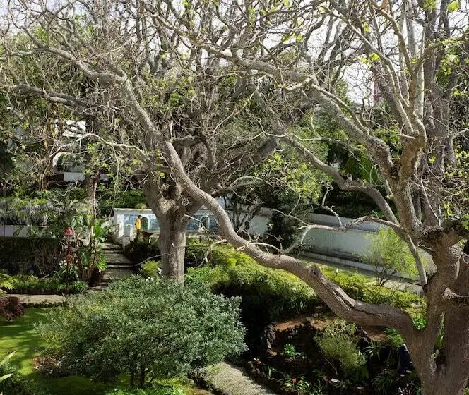 Fotos del hotel Azoris Angra Garden - Plaza Hotel:  34