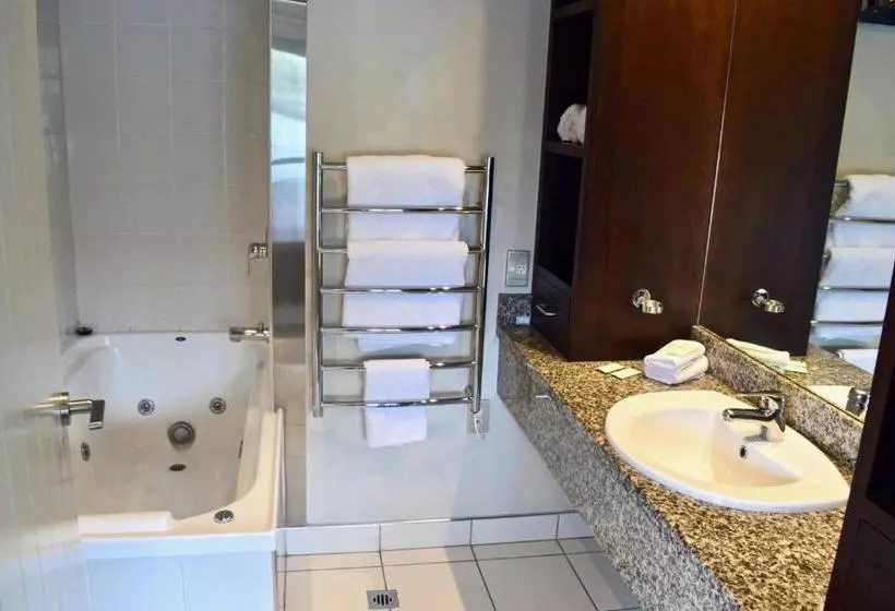 Fotos del hotel Alpine Village Apartments:  4