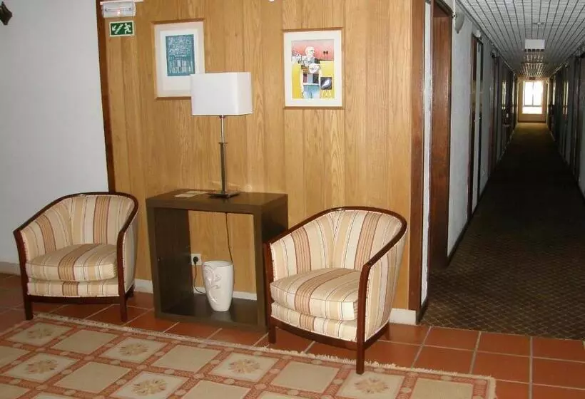 Fotos del hotel Dom Nuno:  11