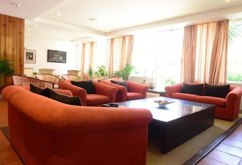 Fotos del hotel Dom Nuno:  22