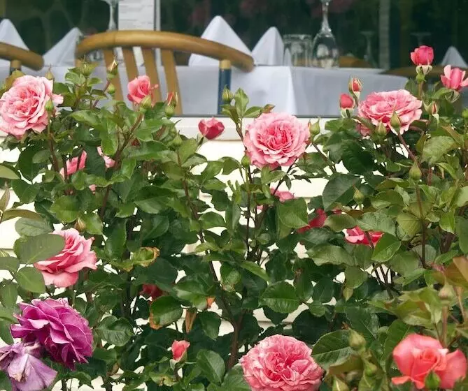 Fotos del hotel Kingsgate Hotel Te Anau:  11