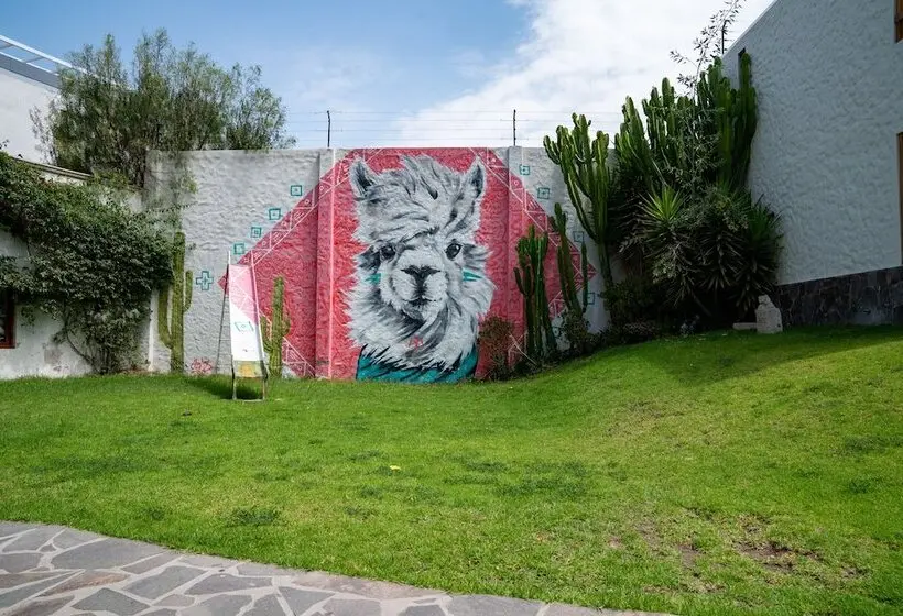 Fotos del hotel Selina Arequipa:  12