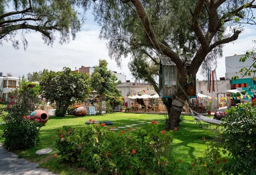Fotos del hotel Selina Arequipa:  44